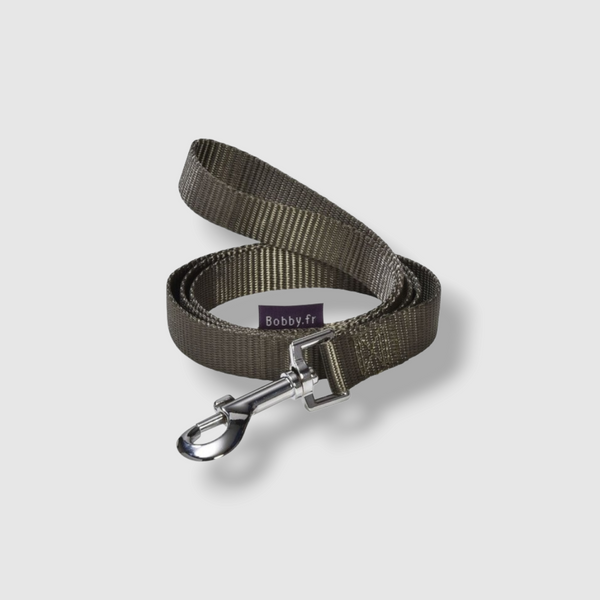 Access Leash - Khaki / Large