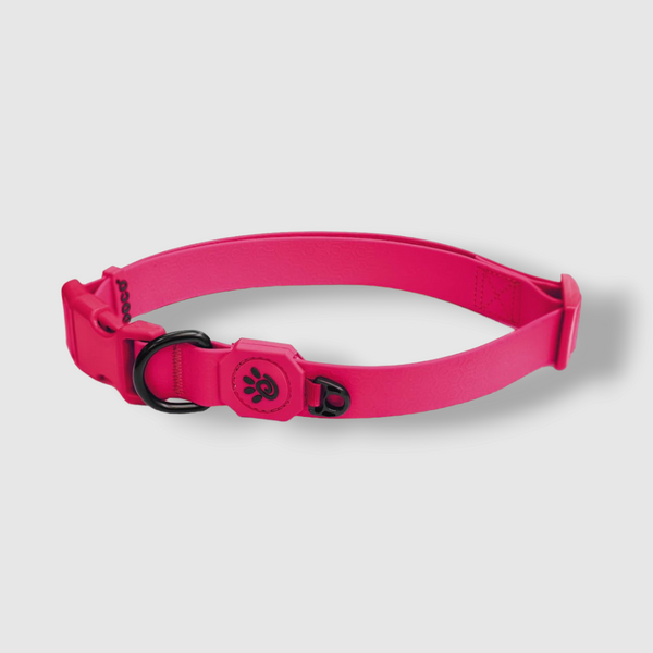 DOCO JELLY BEAN COLLAR (DWW002) - Sizes : L- Color : Pink