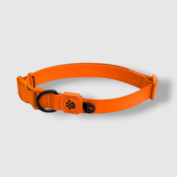 DOCO JELLY BEAN COLLAR (DWW002) - Sizes : L- Color : Safety Orange