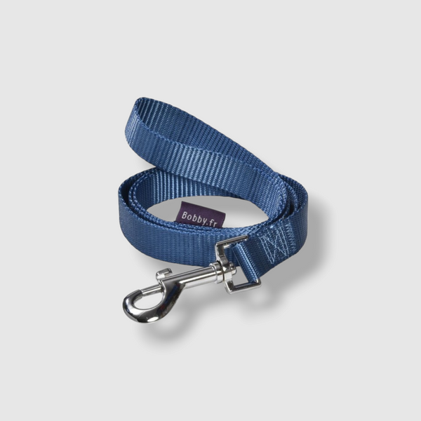 Access Leash - Blue / Large