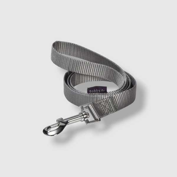 Access Leash - Grey / Medium